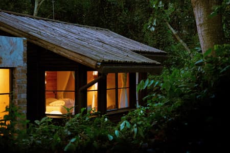 Entebbe Forest Lodge